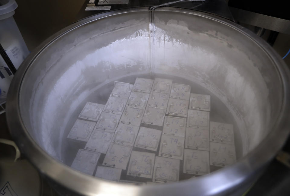 FILE - In this Tuesday, Oct. 2, 2018 photo, containers holding frozen embryos and sperm are stored in liquid nitrogen at a fertility clinic in Fort Myers, Fla. The Alabama Supreme Court ruled, Friday, Feb. 16, 2024, that frozen embryos can be considered children under state law, a ruling critics said could have sweeping implications for fertility treatments. The decision was issued in a pair of wrongful death cases brought by three couples who had frozen embryos destroyed in an accident at a fertility clinic. (AP Photo/Lynne Sladky, File)