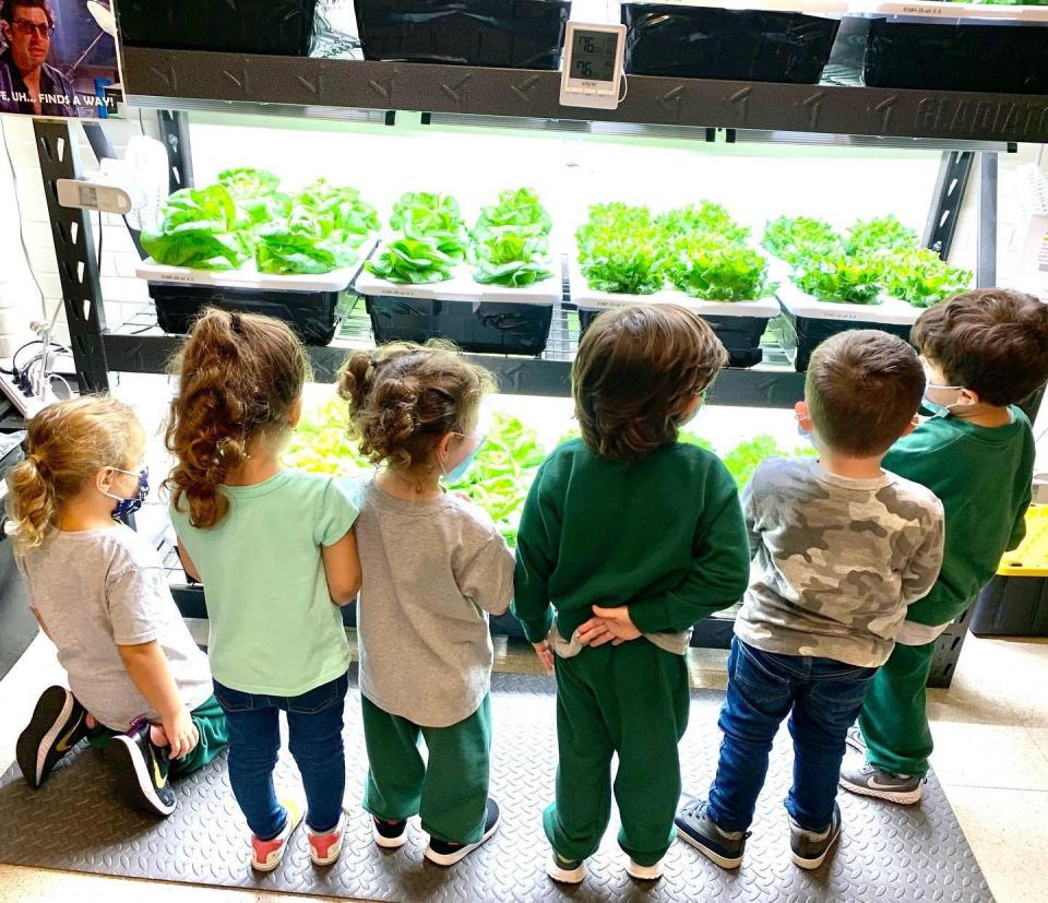 Pre-K students at Holy Trinity School,  64 Lamphor St., Fall River, take part in the hydroponics program, growing produce.