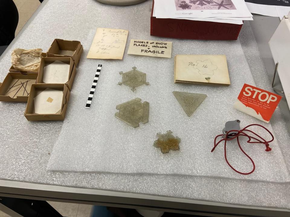 The collection of snow crystal models was discovered in the Nova Scotia Musem of Natural History's geology storage.