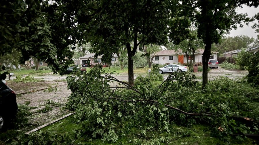 A storm hit Halstead on May 19, 2024. These are the day-after pictures. (Courtesy Harvey County Emergency Management)