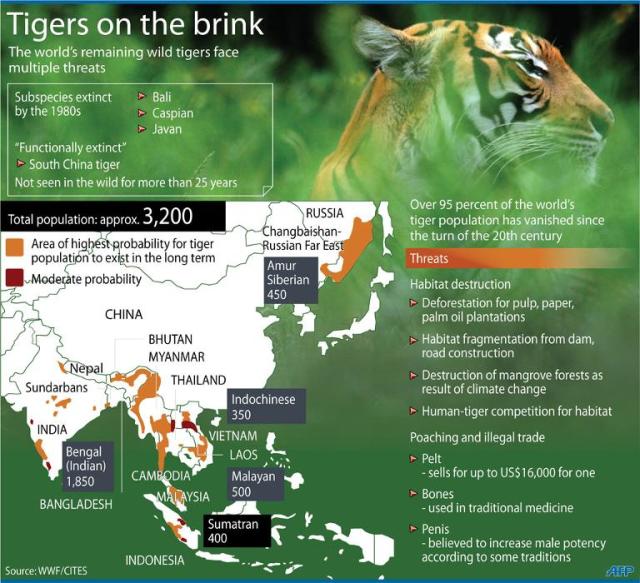 bengal tiger habitat map