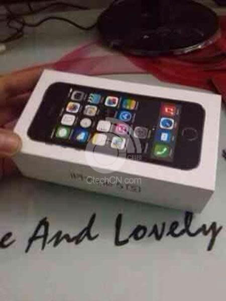 iPhone 5S Case 2