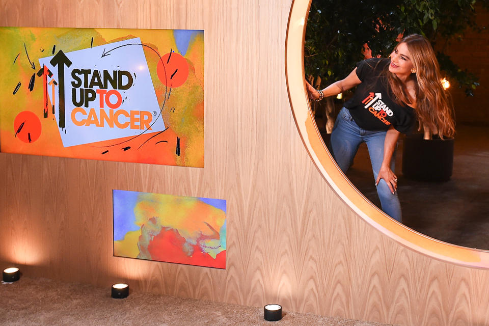 <p>Sofia Vergara makes an appearance during the star-studded <em>Stand Up to Cancer</em> fundraising special, which she co-hosted with Anthony Anderson, Ken Jeong and Tran Ho.</p>