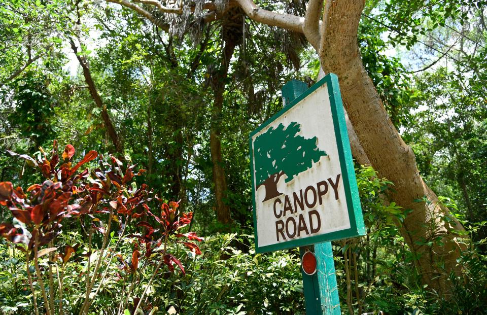 A canopy road sign in Hidden Harbor, which has lush vegetation throughout.