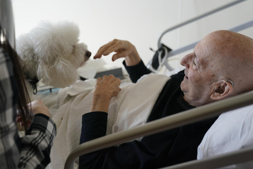 Jeff Philipson, 80, right, smiles as he visits with Zeus, a bichon frise, at The Hebrew Home at Riverdale in New York, Wednesday, Dec. 9, 2020. New dog recruits are helping to expand the nursing home's pet therapy program, giving residents and staff physical comfort while human visitors are still restricted because of the pandemic. (AP Photo/Seth Wenig)