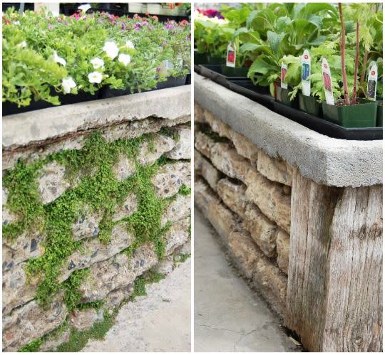 raised bed ideas baby tears