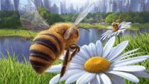 Microsofts "Flight Simulator" zählt zu den bekanntesten Simulationsspielen. Geflogen wird aber auch im "Bee Simulator". In der Rolle einer flotten Biene gilt es, das eigene Volk vor den Menschen zu retten. Zum Gameplay gehören Pollen sammeln, Kämpfe gegen Wespen und andere Alltagssituationen aus dem Leben der Insekten. (Bild: Bigben/Varsav Game Studios)