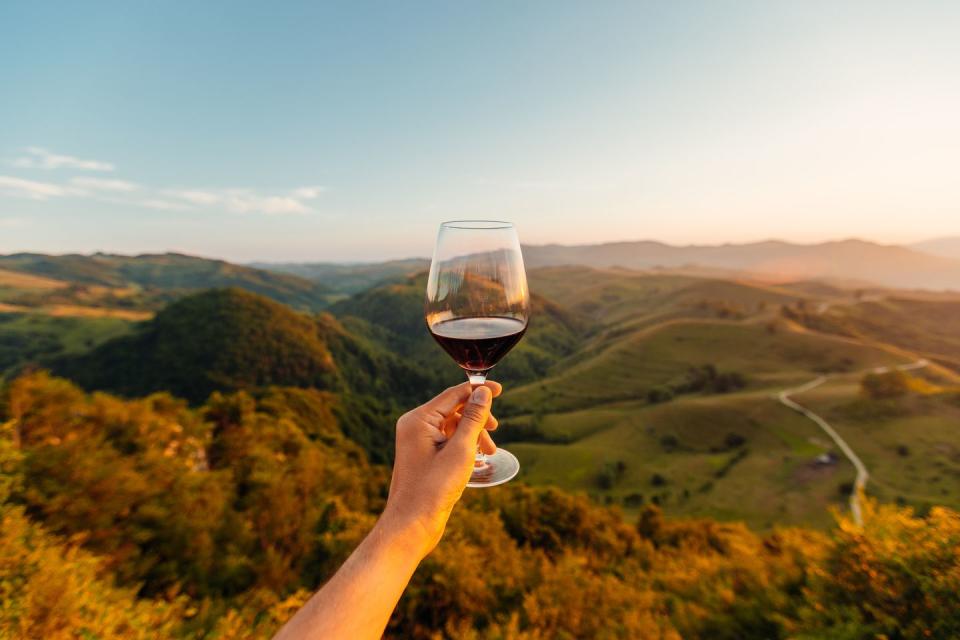 a hand holding a glass of red wine above a valley