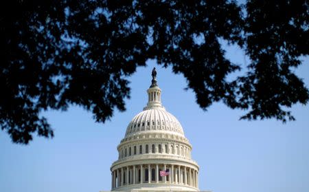 The dome of the U.S. Capitol is seen in Washington September 25, 2012. REUTERS/Kevin Lamarque/Files