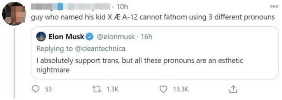 "guy who named his kid XAE A-12 cannot fathom using 3 different pronouns"