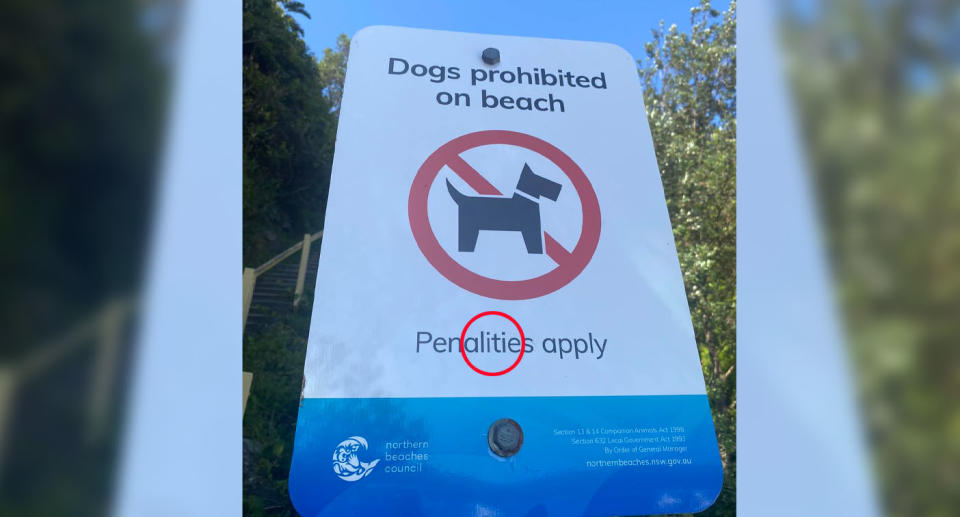 'Dogs prohibited' council sign at Sydney beach with word 'penalties' spelt incorrectly. 