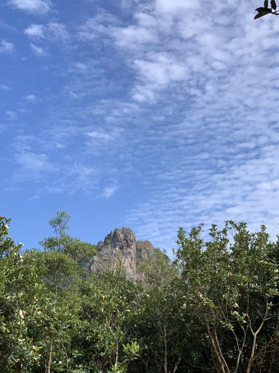 行山路線｜筆架山簡易三小時登山徑！俯瞰九龍半島景色