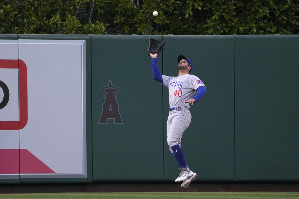 Chicago Cubs center fielder Mike Tauchman makes a catch on a ball hit by Los Angeles Angels' Gio Urshela during the first inning of a baseball game Thursday, June 8, 2023, in Anaheim, Calif. (AP Photo/Mark J. Terrill)