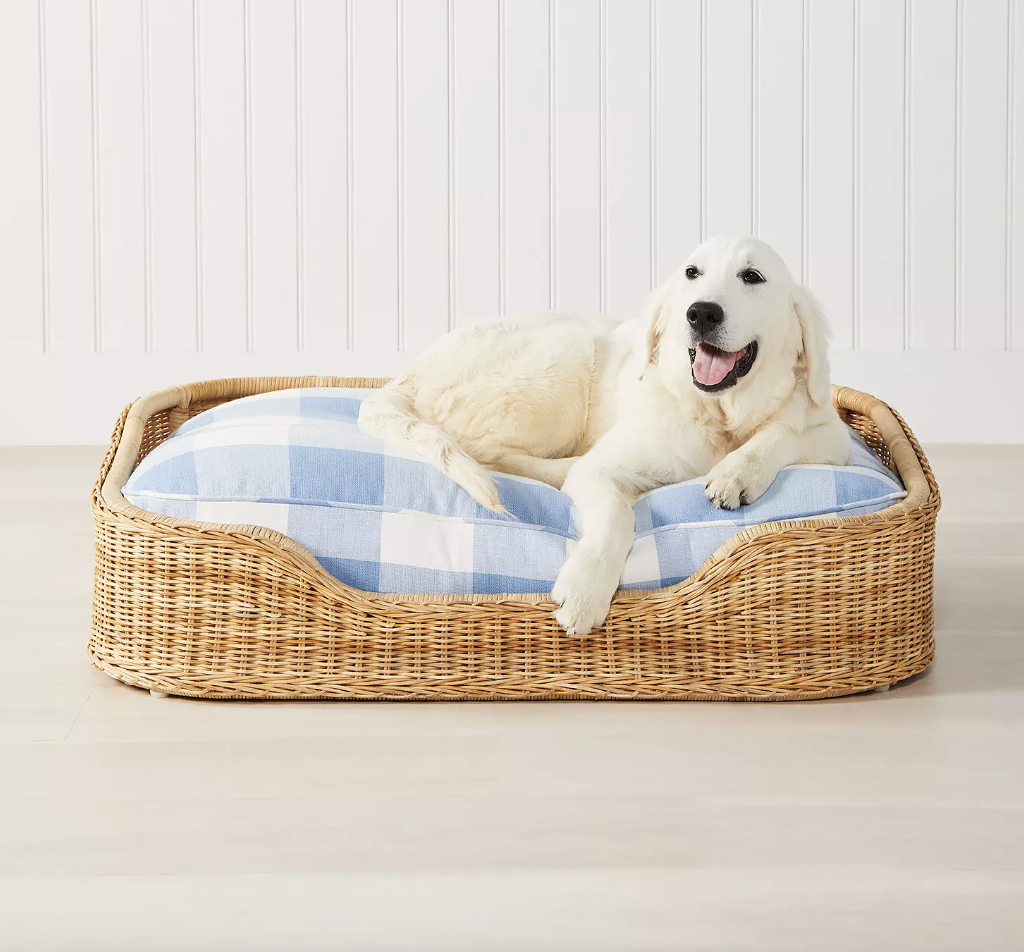 <p><a href="https://go.redirectingat.com?id=74968X1596630&url=https%3A%2F%2Fwww.serenaandlily.com%2Fproducts%2Fwicker-dog-bed%2F683295&sref=https%3A%2F%2Fwww.cosmopolitan.com%2Flifestyle%2Fg46586262%2Fluxury-dog-beds%2F" rel="nofollow noopener" target="_blank" data-ylk="slk:Shop Now;elm:context_link;itc:0;sec:content-canvas" class="link rapid-noclick-resp">Shop Now</a></p><p>Wicker Dog Bed</p><p>serenaandlily.com</p><p>$618.00</p>