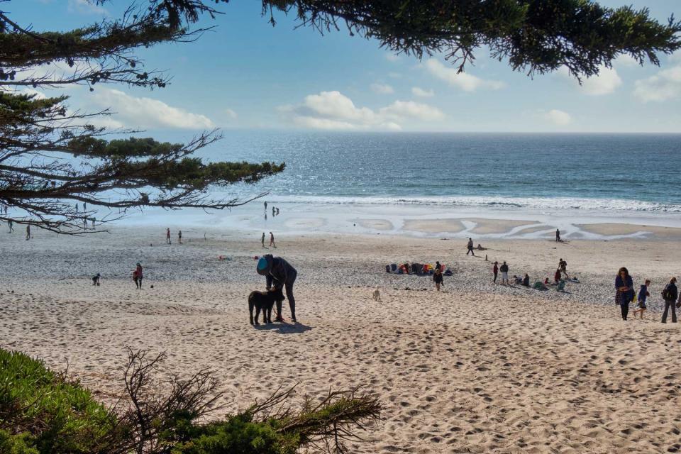 People are walking on the beach of Carmel and enjoying the panorama while unleashing a dog