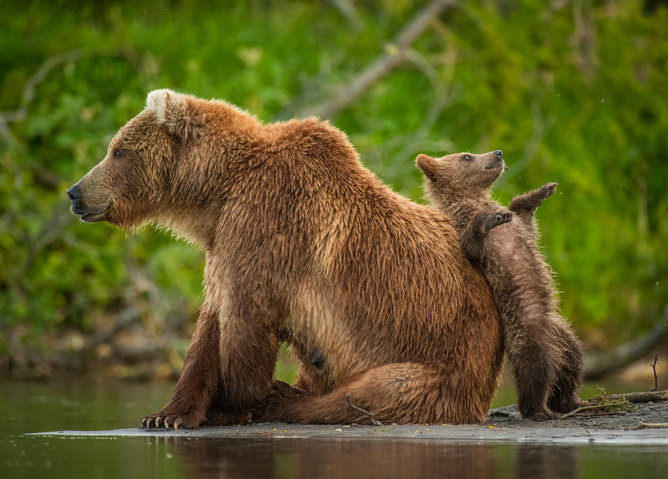 I Got Your Back