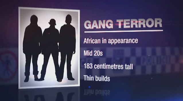 Police say Apex gang members are aged in their mid 20s, mostly of African or Sudanese appearance. Source: 7 News