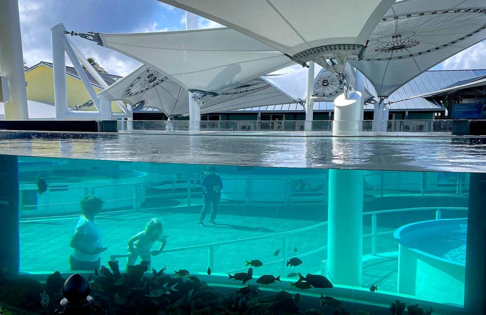 Scenes at Loggerhead MarineLife Center on Tuesday, April 19, 2022. There are no turtles currently at the facility due to ongoing water quality issues and a recent mass departure of staff.