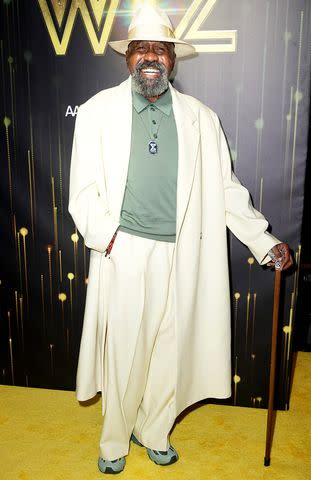 <p>John Nacion/Variety via Getty Images</p> Ben Vereen at the opening night of 'The Wiz' held at the Marquis Theatre on April 17, 2024 in New York City