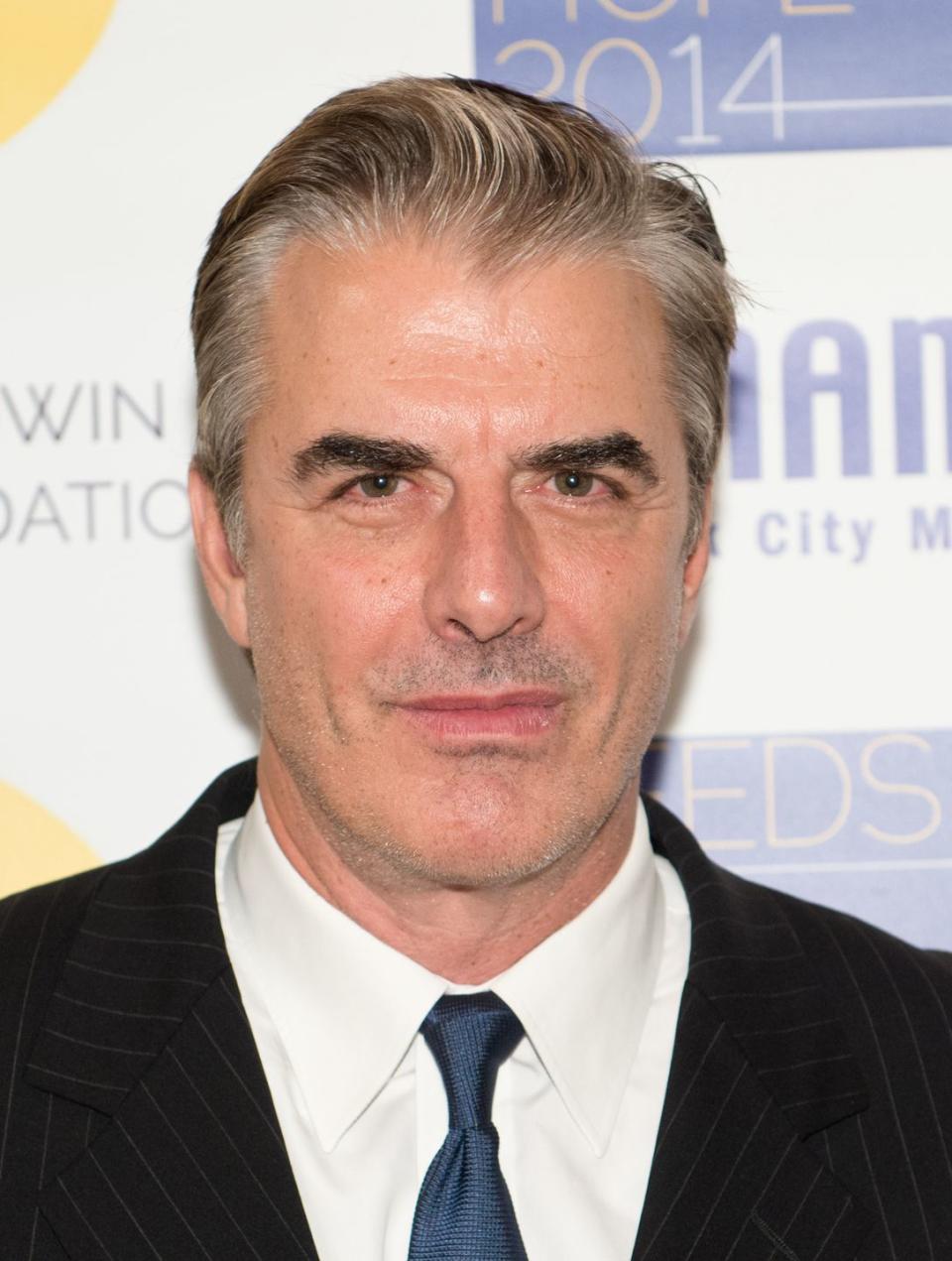 <p>Chris Noth has gradually incorporated his gray roots into his look since, but his bold brows have remained dark.</p>