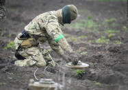 An interior ministry sapper defuses a mine on a mine field after recent battles in Irpin close to Kyiv, Ukraine, Tuesday, April 19, 2022. (AP Photo/Efrem Lukatsky)