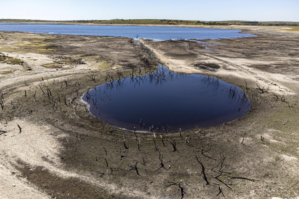 A cut-off water basin with dead trees is exposed at Colliford Lake, where water levels have severely dropped exposing the unseen trees and rocks at Cornwall's largest lake and reservoir, covering more than 900 acres of Bodmin Moor, Cornwall, England, Wednesday Aug. 10, 2022. The Met Office has issued an amber warning for extreme heat covering four days from Thursday to Sunday for parts of England and Wales as a new heatwave looms. (Ben Birchall/PA via AP)