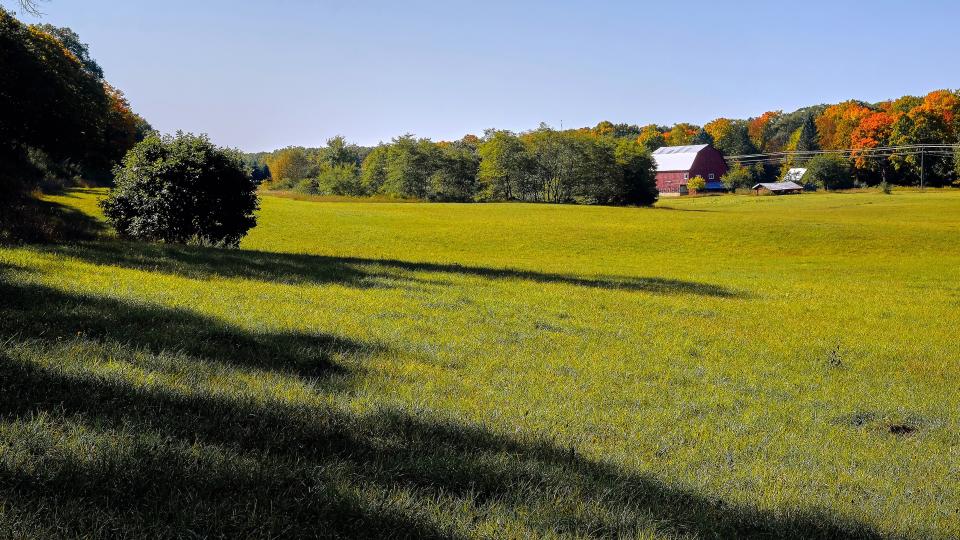 Little Traverse Conservancy is nearing the end of the fundraising period for the Lamkin Farm property, which will become a preserve called Woody's Woods.