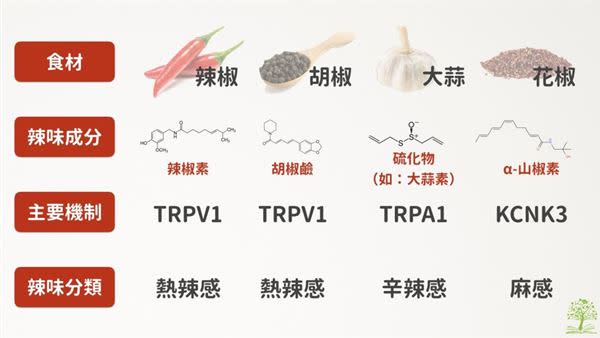 （圖片／好食課林世航營養師提供）