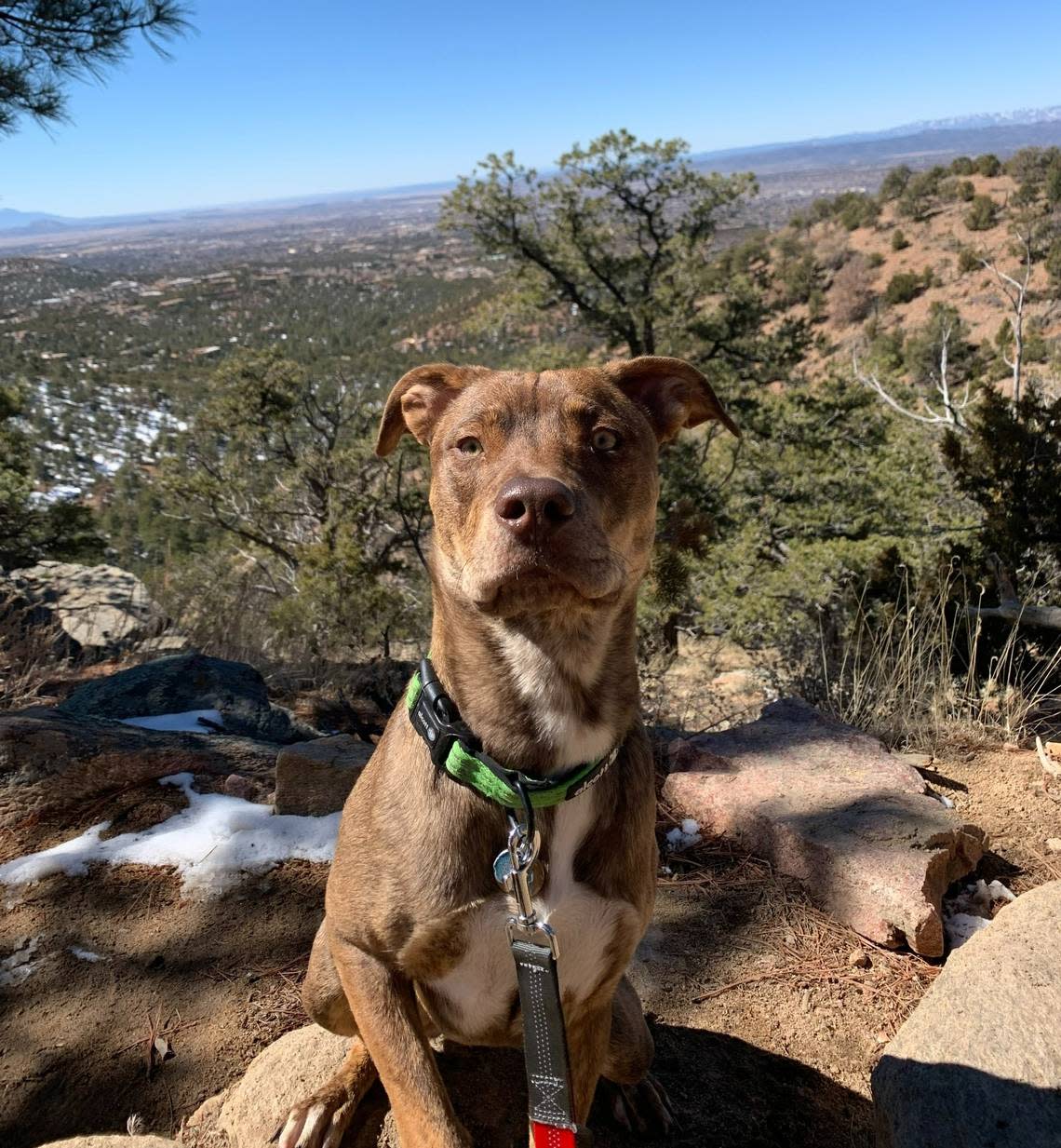 Kira on a hike.