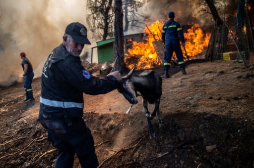 The destructive fire broke out in the early hours of Tuesday on Greece's second-largest island, prompting the evacuation of four villages including Platana