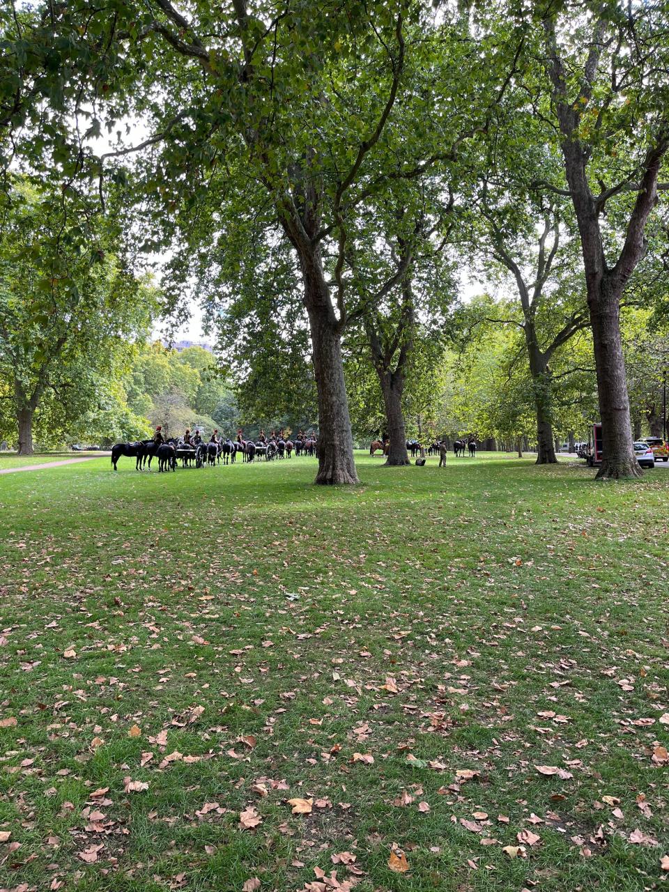 These horses were waiting to accompany the Queen's casket into the hearse.