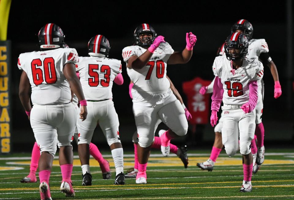 The Quips celebrate after Naquan Crowder (70) causes a Blackhawk fumble and runs it in for a touchdown during Friday night's game at Blackhawk High School.