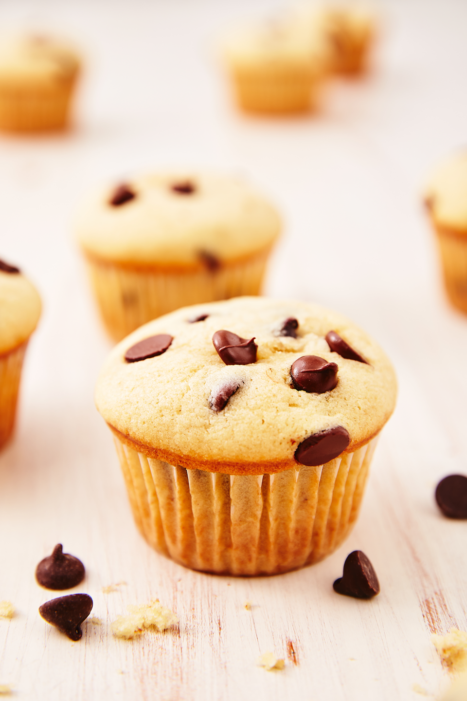 Chocolate Chip Muffins