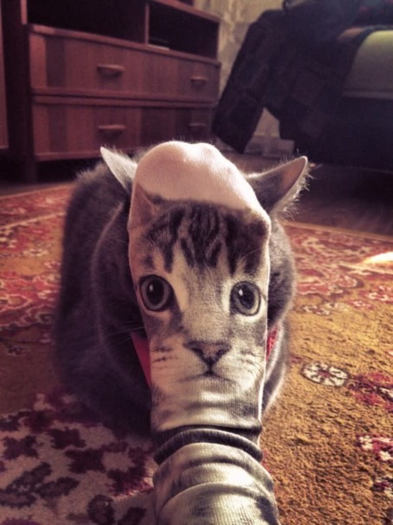 Hier erkennt man erst im zweiten Anlauf, dass sich vor dem eigentlichen Haustier noch eine Socke mit Katzenprint befindet. Der schicke Fußwärmer ersetzt perfekt das Gesicht des schwarzen Fellknäuels direkt dahinter.