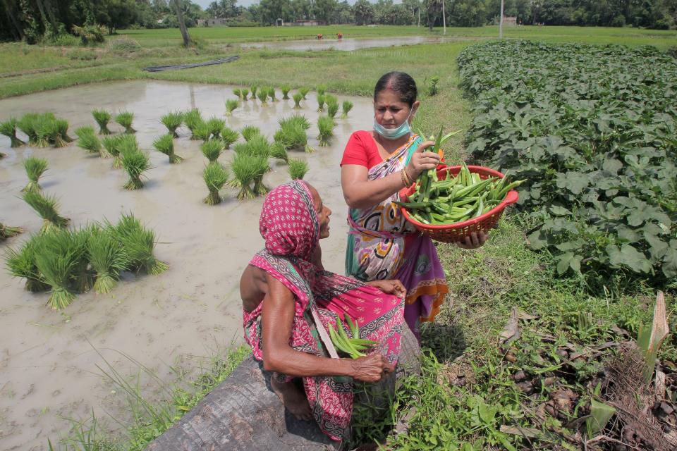 rural india coronavirus