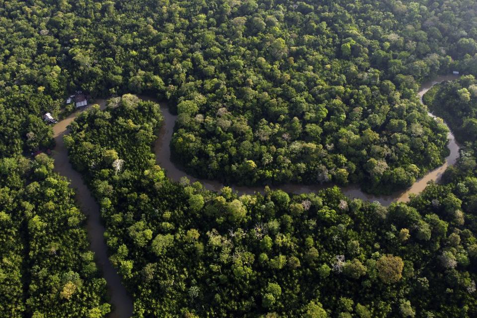 FILE - Forest lines the Combu creek, on Combu Island on the banks of the Guama River, near the city of Belem, Para state, Brazil, Aug. 6, 2023. The United Nations Environment Assembly is meeting in Nairobi on Monday, Feb. 26, 2024, to discuss how countries can work together to tackle environmental crises like climate change, pollution and loss of biodiversity. (AP Photo/Eraldo Peres, File)