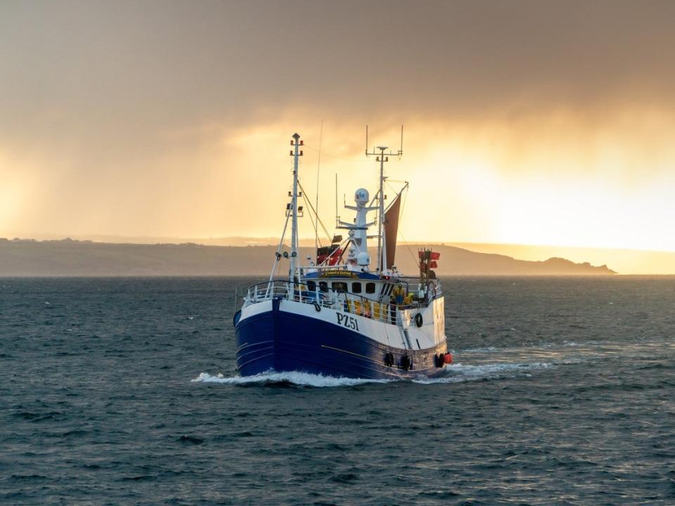 Newlyn gill-netter returns to port in Cornwall (Getty Images)