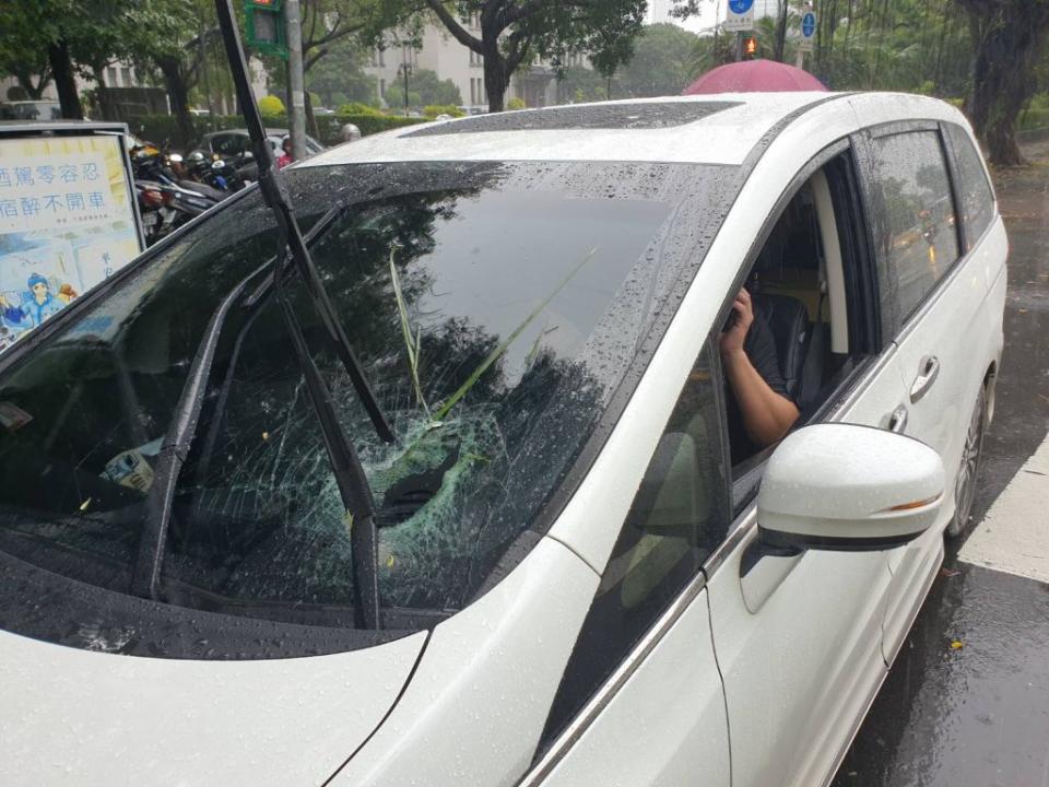  一輛自小客車擋風玻璃遭到椰子樹葉片擊中。（圖／中天新聞提供）