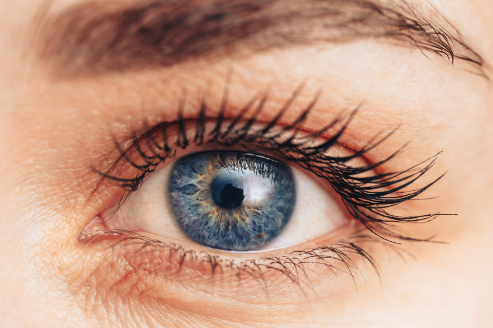 El color de nuestros ojos lo aporta la herencia.  Hay muchos genes involucrados en este rasgo y algunos factores como la melanina.  (Getty Creativo)