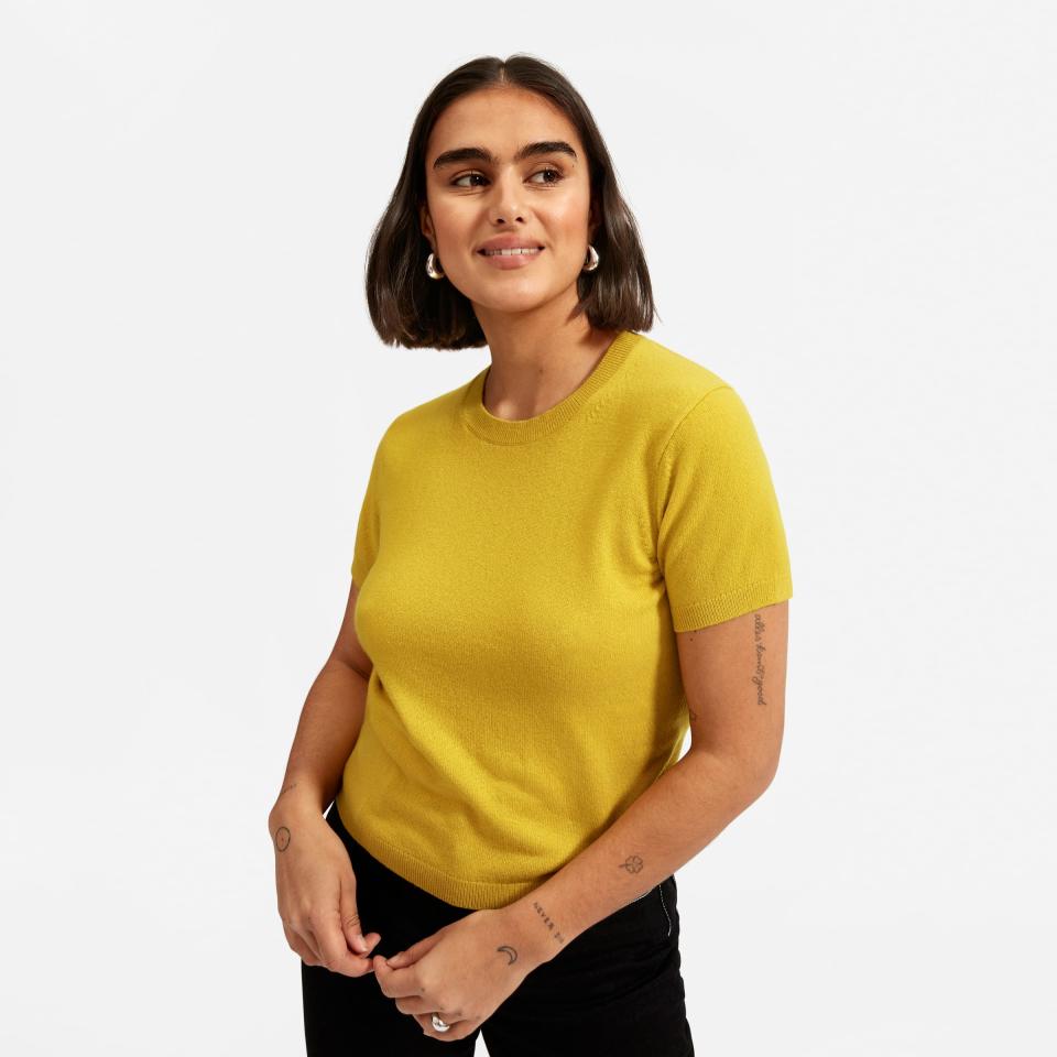 The Cashmere Sweater Tee. Image via Everlane.