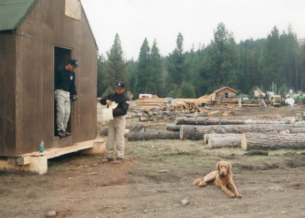 Kaczynski's cabin after it was moved to the Gehring Sawmill. 