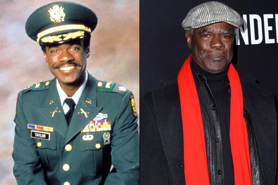 Glynn Turman (Colonel Brad Taylor)