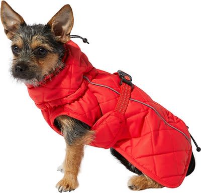 KONG Insulated Quilted Dog Barn Jacket, Red