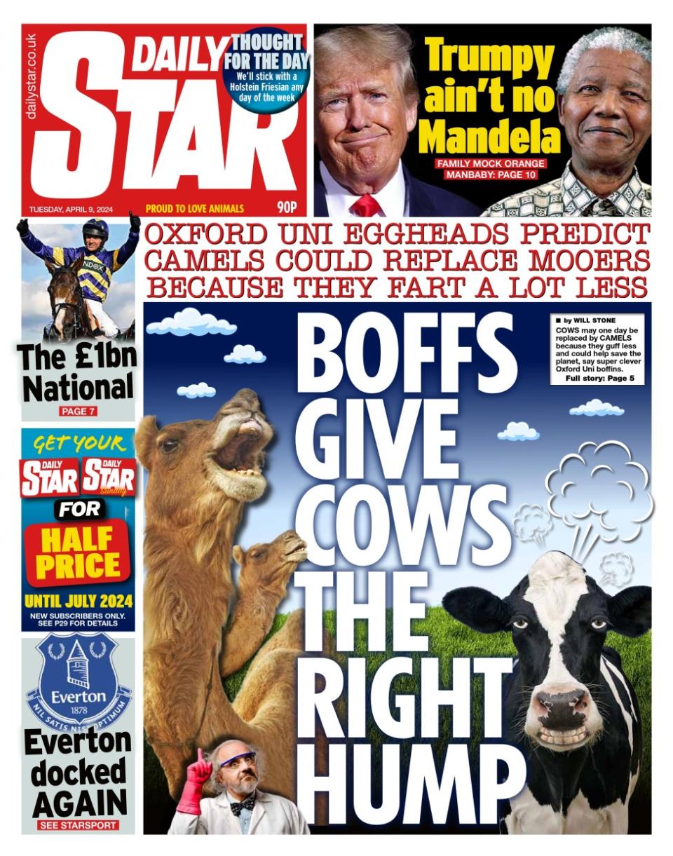 The headline in the Daily Star reads: Boff gives cows the right hump