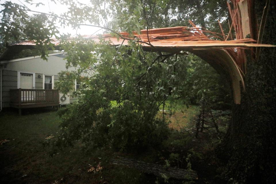 A tree split in half that fell on a house.