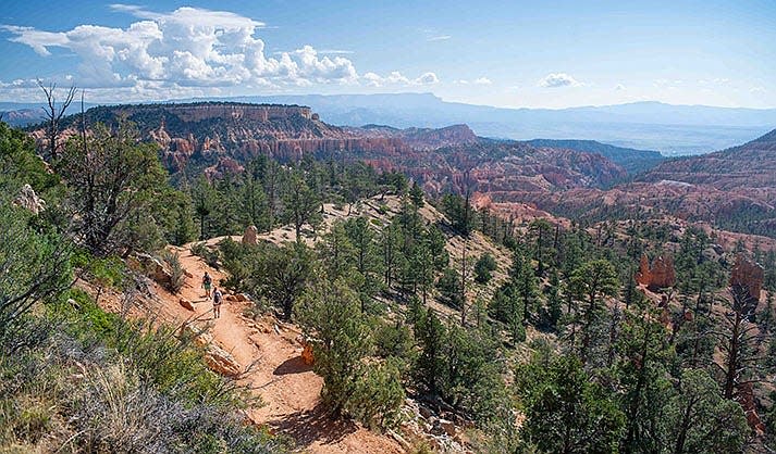 An Arizona woman who disappeared hiking on Aug. 25, 2023, was found dead in the park on Aug. 26, 2023, park officials said.