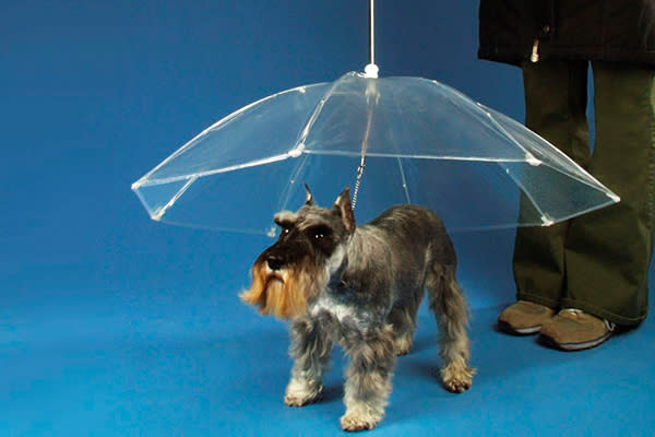 Sombrilla Dogbrella