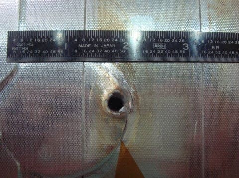 Hole caused by debris in space shuttle Endeavor