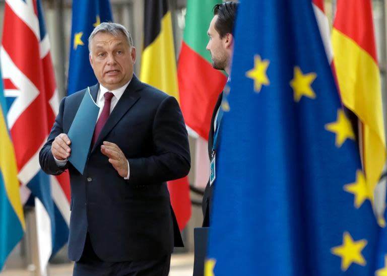 Brexit: EU will present united front in withdrawal talks, says senior Hungarian minister