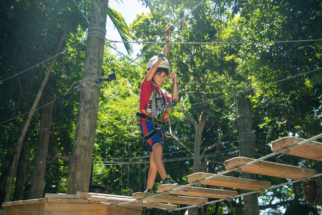 <p>Courtesy of Treetop Trekking Miami</p>